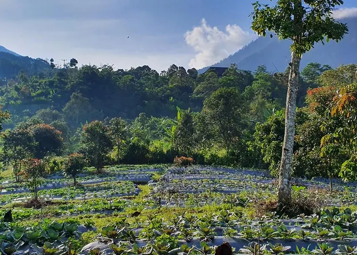 Manigelang Munduk