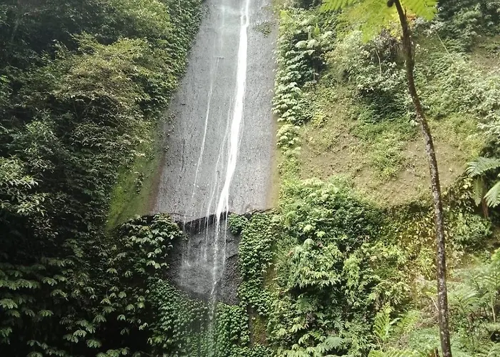Manigelang